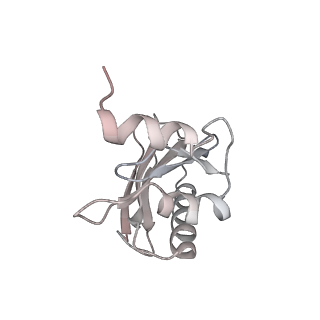 21629_6wda_a_v1-2
Cryo-EM of elongating ribosome with EF-Tu*GTP elucidates tRNA proofreading (Cognate Structure III-C)