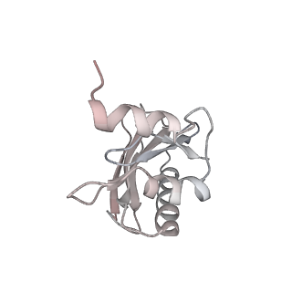 21629_6wda_a_v1-3
Cryo-EM of elongating ribosome with EF-Tu*GTP elucidates tRNA proofreading (Cognate Structure III-C)