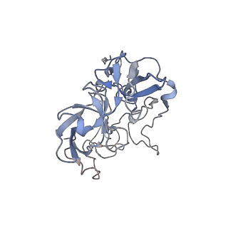 21629_6wda_b_v1-2
Cryo-EM of elongating ribosome with EF-Tu*GTP elucidates tRNA proofreading (Cognate Structure III-C)