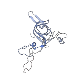 21629_6wda_c_v1-2
Cryo-EM of elongating ribosome with EF-Tu*GTP elucidates tRNA proofreading (Cognate Structure III-C)