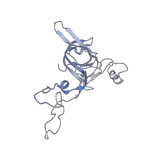 21629_6wda_c_v1-3
Cryo-EM of elongating ribosome with EF-Tu*GTP elucidates tRNA proofreading (Cognate Structure III-C)