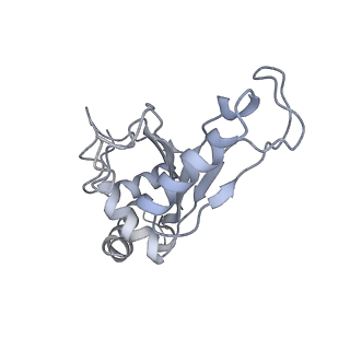 21629_6wda_e_v1-2
Cryo-EM of elongating ribosome with EF-Tu*GTP elucidates tRNA proofreading (Cognate Structure III-C)