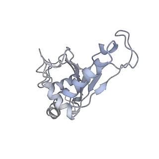 21629_6wda_e_v1-3
Cryo-EM of elongating ribosome with EF-Tu*GTP elucidates tRNA proofreading (Cognate Structure III-C)