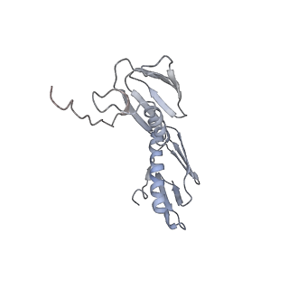 21629_6wda_f_v1-2
Cryo-EM of elongating ribosome with EF-Tu*GTP elucidates tRNA proofreading (Cognate Structure III-C)