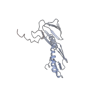 21629_6wda_f_v1-3
Cryo-EM of elongating ribosome with EF-Tu*GTP elucidates tRNA proofreading (Cognate Structure III-C)