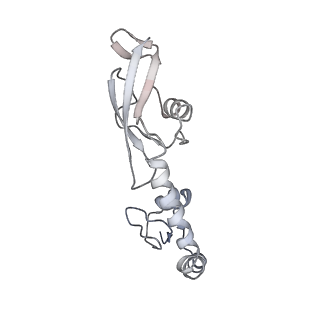 21629_6wda_g_v1-2
Cryo-EM of elongating ribosome with EF-Tu*GTP elucidates tRNA proofreading (Cognate Structure III-C)