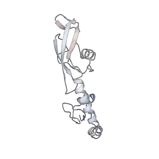 21629_6wda_g_v1-3
Cryo-EM of elongating ribosome with EF-Tu*GTP elucidates tRNA proofreading (Cognate Structure III-C)