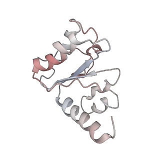 21629_6wda_h_v1-2
Cryo-EM of elongating ribosome with EF-Tu*GTP elucidates tRNA proofreading (Cognate Structure III-C)