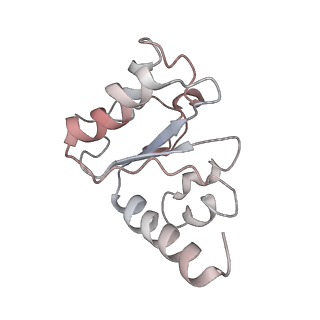 21629_6wda_h_v1-3
Cryo-EM of elongating ribosome with EF-Tu*GTP elucidates tRNA proofreading (Cognate Structure III-C)