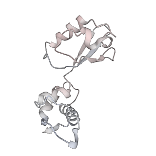 21629_6wda_i_v1-2
Cryo-EM of elongating ribosome with EF-Tu*GTP elucidates tRNA proofreading (Cognate Structure III-C)