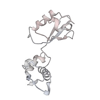 21629_6wda_i_v1-3
Cryo-EM of elongating ribosome with EF-Tu*GTP elucidates tRNA proofreading (Cognate Structure III-C)