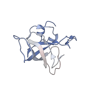 21629_6wda_k_v1-2
Cryo-EM of elongating ribosome with EF-Tu*GTP elucidates tRNA proofreading (Cognate Structure III-C)
