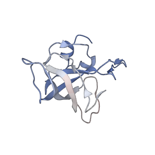 21629_6wda_k_v1-3
Cryo-EM of elongating ribosome with EF-Tu*GTP elucidates tRNA proofreading (Cognate Structure III-C)