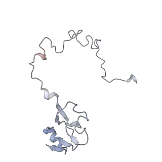 21629_6wda_l_v1-2
Cryo-EM of elongating ribosome with EF-Tu*GTP elucidates tRNA proofreading (Cognate Structure III-C)