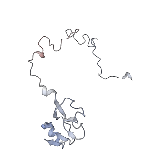 21629_6wda_l_v1-3
Cryo-EM of elongating ribosome with EF-Tu*GTP elucidates tRNA proofreading (Cognate Structure III-C)