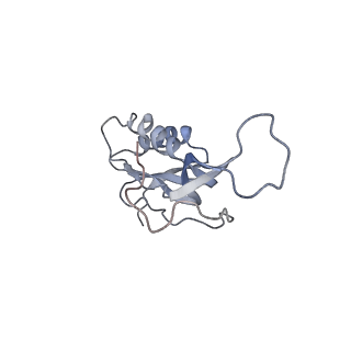 21629_6wda_m_v1-2
Cryo-EM of elongating ribosome with EF-Tu*GTP elucidates tRNA proofreading (Cognate Structure III-C)