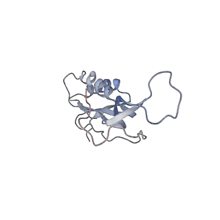 21629_6wda_m_v1-3
Cryo-EM of elongating ribosome with EF-Tu*GTP elucidates tRNA proofreading (Cognate Structure III-C)