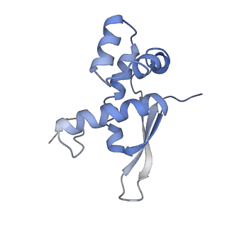 21629_6wda_n_v1-2
Cryo-EM of elongating ribosome with EF-Tu*GTP elucidates tRNA proofreading (Cognate Structure III-C)