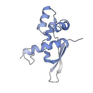 21629_6wda_n_v1-3
Cryo-EM of elongating ribosome with EF-Tu*GTP elucidates tRNA proofreading (Cognate Structure III-C)