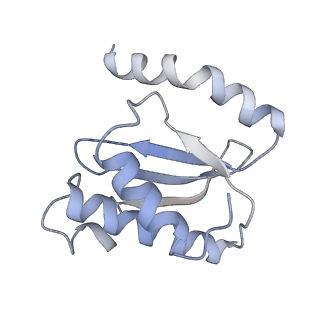 21629_6wda_o_v1-2
Cryo-EM of elongating ribosome with EF-Tu*GTP elucidates tRNA proofreading (Cognate Structure III-C)