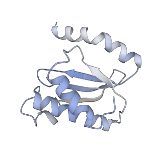 21629_6wda_o_v1-3
Cryo-EM of elongating ribosome with EF-Tu*GTP elucidates tRNA proofreading (Cognate Structure III-C)