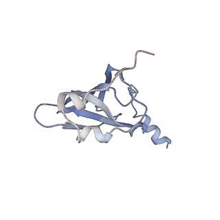 21629_6wda_p_v1-2
Cryo-EM of elongating ribosome with EF-Tu*GTP elucidates tRNA proofreading (Cognate Structure III-C)