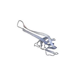 21629_6wda_r_v1-3
Cryo-EM of elongating ribosome with EF-Tu*GTP elucidates tRNA proofreading (Cognate Structure III-C)