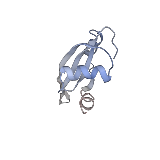 21629_6wda_t_v1-3
Cryo-EM of elongating ribosome with EF-Tu*GTP elucidates tRNA proofreading (Cognate Structure III-C)