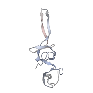 21629_6wda_u_v1-3
Cryo-EM of elongating ribosome with EF-Tu*GTP elucidates tRNA proofreading (Cognate Structure III-C)