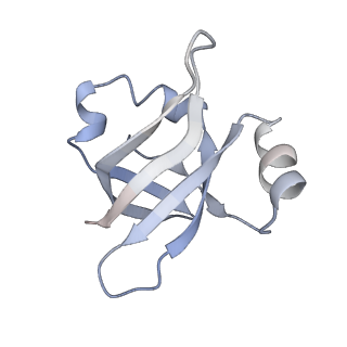 21629_6wda_v_v1-2
Cryo-EM of elongating ribosome with EF-Tu*GTP elucidates tRNA proofreading (Cognate Structure III-C)