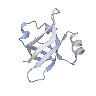 21629_6wda_v_v1-3
Cryo-EM of elongating ribosome with EF-Tu*GTP elucidates tRNA proofreading (Cognate Structure III-C)