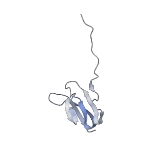 21629_6wda_w_v1-2
Cryo-EM of elongating ribosome with EF-Tu*GTP elucidates tRNA proofreading (Cognate Structure III-C)