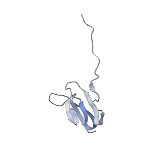 21629_6wda_w_v1-3
Cryo-EM of elongating ribosome with EF-Tu*GTP elucidates tRNA proofreading (Cognate Structure III-C)