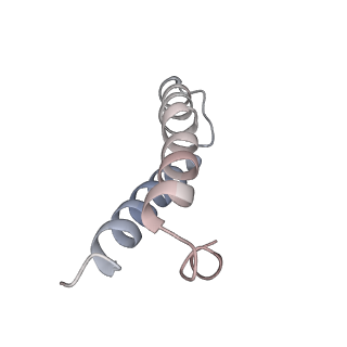 21629_6wda_y_v1-2
Cryo-EM of elongating ribosome with EF-Tu*GTP elucidates tRNA proofreading (Cognate Structure III-C)