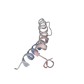 21629_6wda_y_v1-3
Cryo-EM of elongating ribosome with EF-Tu*GTP elucidates tRNA proofreading (Cognate Structure III-C)