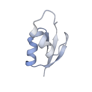 21629_6wda_z_v1-2
Cryo-EM of elongating ribosome with EF-Tu*GTP elucidates tRNA proofreading (Cognate Structure III-C)