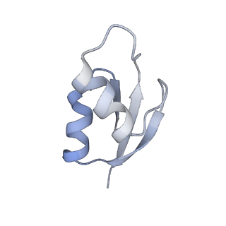 21629_6wda_z_v1-3
Cryo-EM of elongating ribosome with EF-Tu*GTP elucidates tRNA proofreading (Cognate Structure III-C)