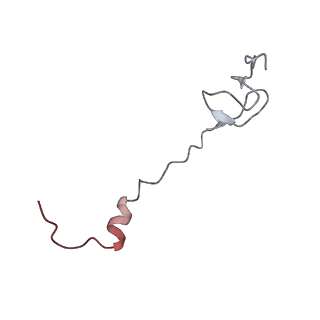 21630_6wdb_B_v1-2
Cryo-EM of elongating ribosome with EF-Tu*GTP elucidates tRNA proofreading (Cognate Structure IV-A)
