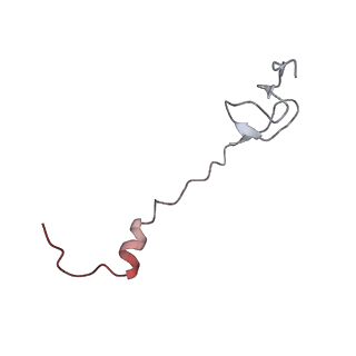 21630_6wdb_B_v1-3
Cryo-EM of elongating ribosome with EF-Tu*GTP elucidates tRNA proofreading (Cognate Structure IV-A)