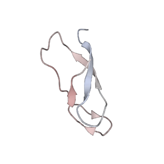 21630_6wdb_C_v1-2
Cryo-EM of elongating ribosome with EF-Tu*GTP elucidates tRNA proofreading (Cognate Structure IV-A)