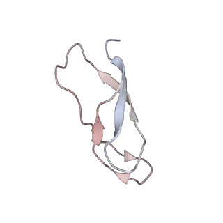 21630_6wdb_C_v1-3
Cryo-EM of elongating ribosome with EF-Tu*GTP elucidates tRNA proofreading (Cognate Structure IV-A)