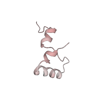 21630_6wdb_D_v1-2
Cryo-EM of elongating ribosome with EF-Tu*GTP elucidates tRNA proofreading (Cognate Structure IV-A)