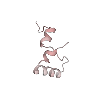 21630_6wdb_D_v1-3
Cryo-EM of elongating ribosome with EF-Tu*GTP elucidates tRNA proofreading (Cognate Structure IV-A)