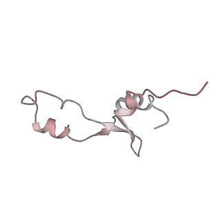 21630_6wdb_E_v1-2
Cryo-EM of elongating ribosome with EF-Tu*GTP elucidates tRNA proofreading (Cognate Structure IV-A)