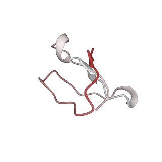 21630_6wdb_F_v1-2
Cryo-EM of elongating ribosome with EF-Tu*GTP elucidates tRNA proofreading (Cognate Structure IV-A)