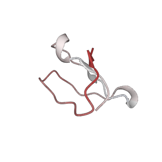 21630_6wdb_F_v1-3
Cryo-EM of elongating ribosome with EF-Tu*GTP elucidates tRNA proofreading (Cognate Structure IV-A)