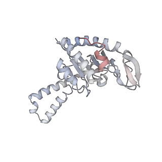 21630_6wdb_G_v1-2
Cryo-EM of elongating ribosome with EF-Tu*GTP elucidates tRNA proofreading (Cognate Structure IV-A)
