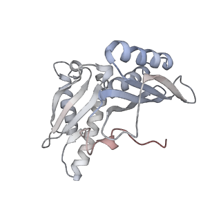 21630_6wdb_H_v1-2
Cryo-EM of elongating ribosome with EF-Tu*GTP elucidates tRNA proofreading (Cognate Structure IV-A)