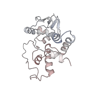 21630_6wdb_I_v1-2
Cryo-EM of elongating ribosome with EF-Tu*GTP elucidates tRNA proofreading (Cognate Structure IV-A)