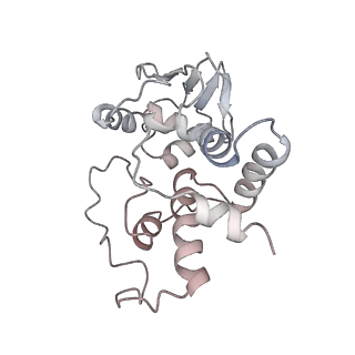 21630_6wdb_I_v1-3
Cryo-EM of elongating ribosome with EF-Tu*GTP elucidates tRNA proofreading (Cognate Structure IV-A)